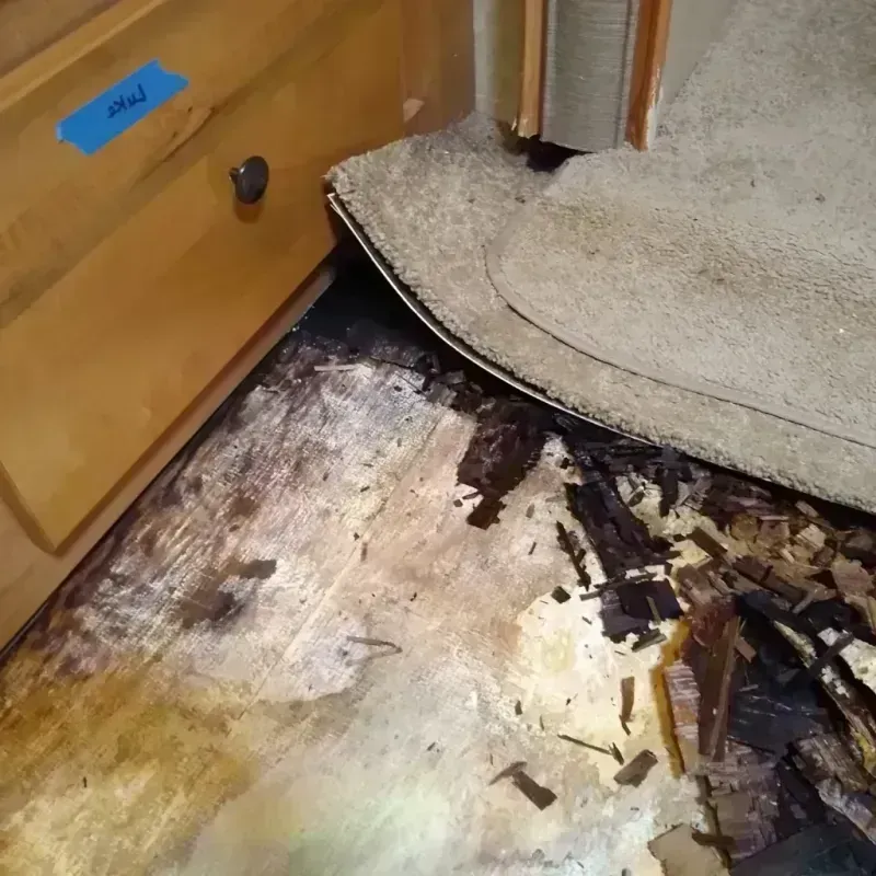 Wood Floor Water Damage in Arnold, MN